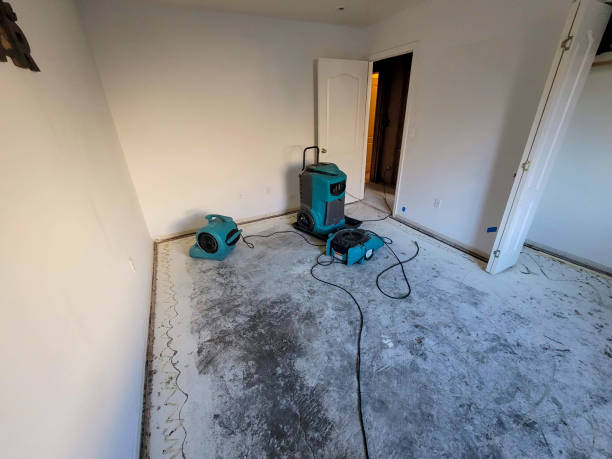 Best Flood restoration services  in Bray, OK