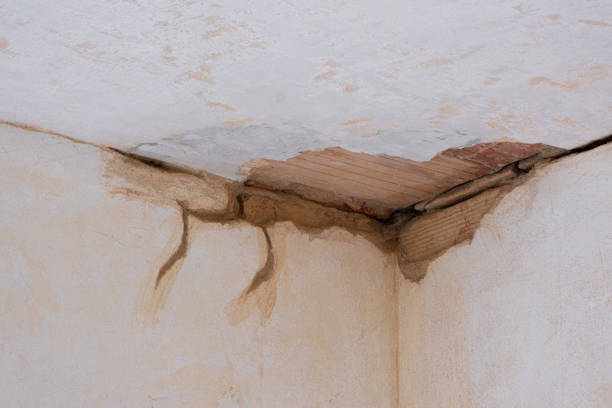 Best Mold removal after water damage  in Bray, OK