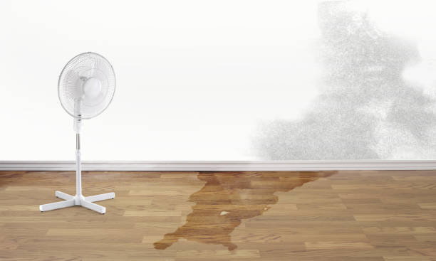 Best Water damage restoration specialists  in Bray, OK