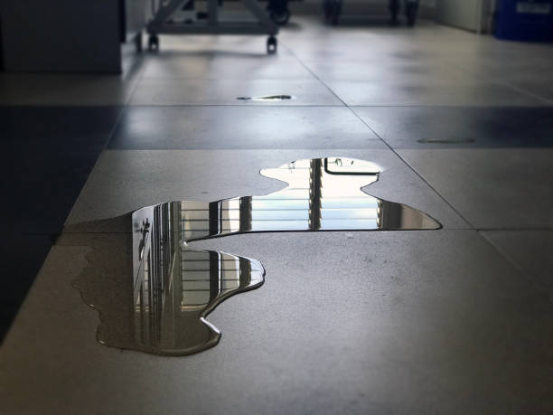 Best Water damage restoration company  in Bray, OK