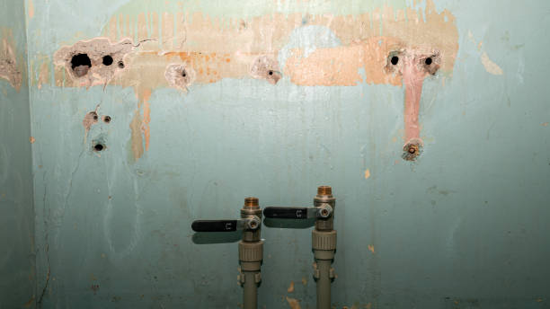 Best Carpet water damage restoration  in Bray, OK
